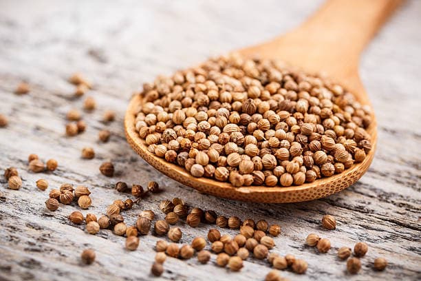 تصویر 1 از خرید و قیمت تخم گشنیز ترد + فروش صادراتی